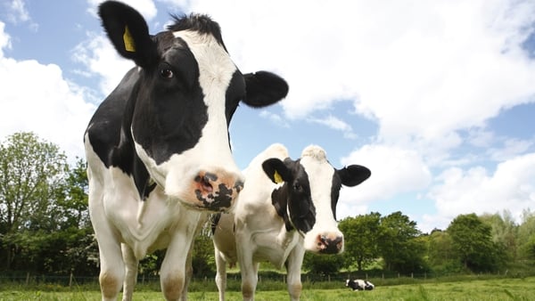 The five farming groups have committed to play a positive contribution to the reduction of greenhouse house emissions from agriculture and the dairy sector