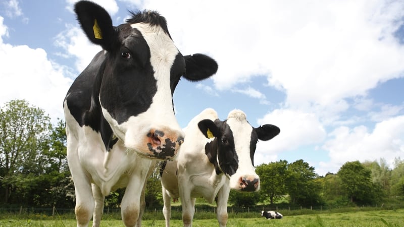 The five farming groups have committed to play a positive contribution to the reduction of greenhouse house emissions from agriculture and the dairy sector
