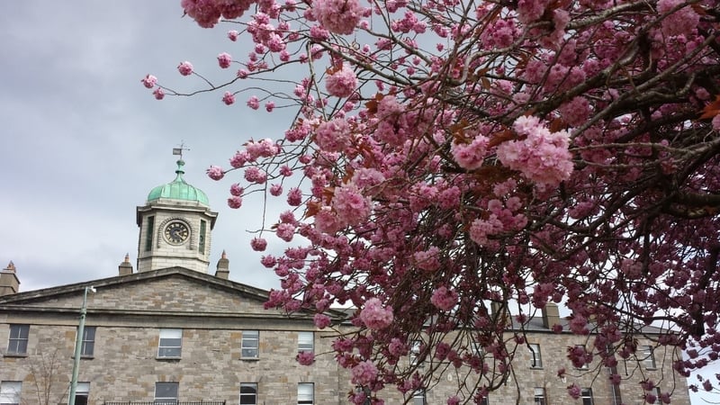 The Clocktower in TU Dublin Grangegorman, which used to house the Dublin Cholera Hospital in the 1830s