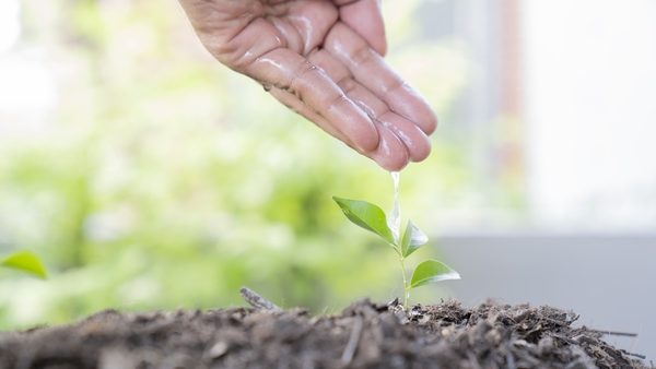 "Diversification of agriculture systems is likely to become an important strategy for enhancing the adaptive capacity of agriculture to climate change"