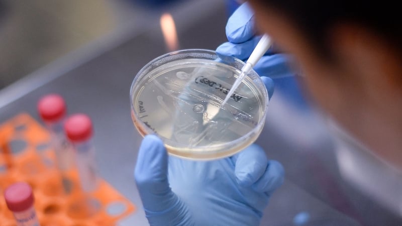 The company develops oncology drugs with a focus on rare, orphan and pediatric cancers