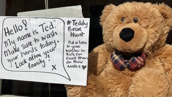 Ted the bear with an important message on the Stoneybatter teddy bear hunt