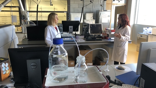 Prof Norelee Kennedy (left) of the UL Covid Action group with Dr Edel Durack, instrument scientist at Bernal Institute.