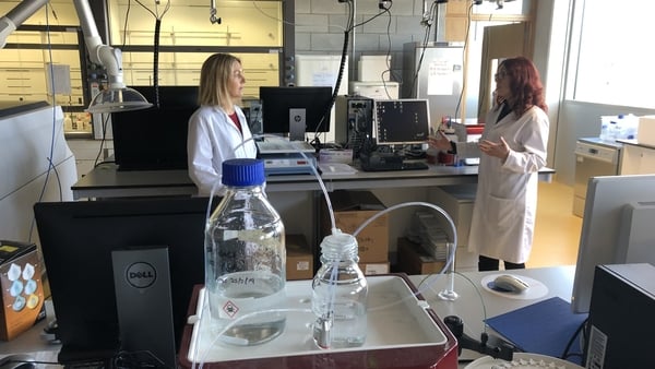 Prof Norelee Kennedy (left) of the UL Covid Action group with Dr Edel Durack, instrument scientist at Bernal Institute.