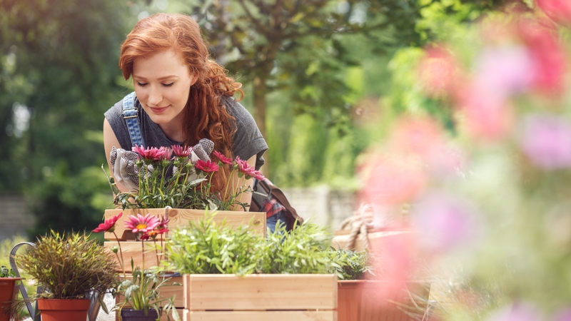 Now is the perfect time to get into gardening.
