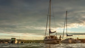 Seascapes show image