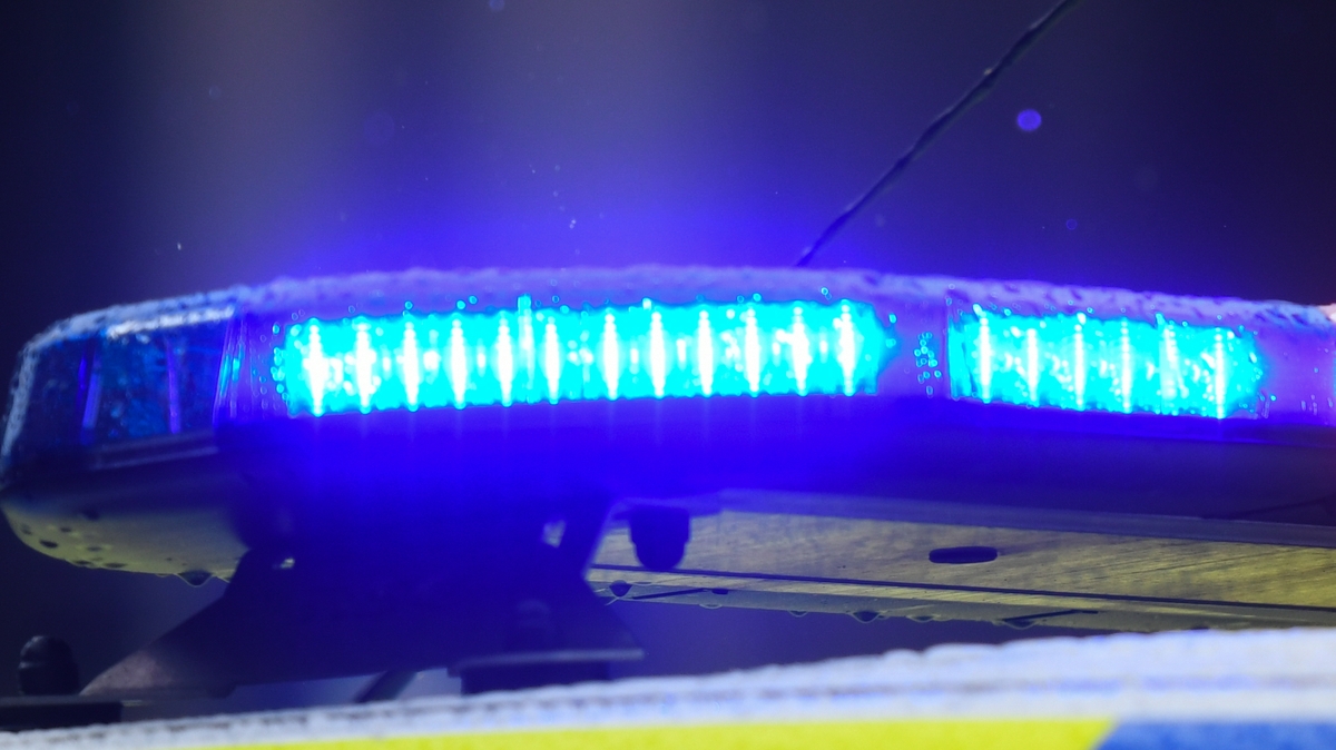 Four arrested after armed gardaí intercept car on M50 following reported kidnapping in Belfast