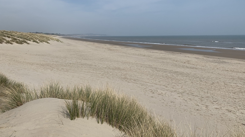 Curracloe Beach in Co Wexford (file image)