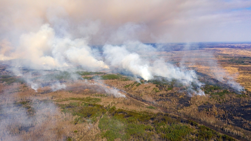The blaze has burned through over 3,000 hectares in a week