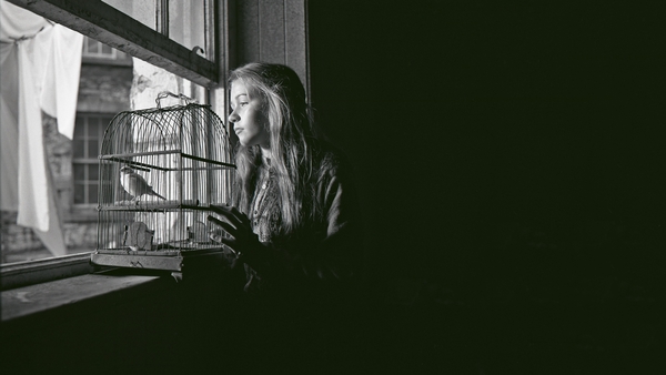 Irish Short Films: Watch The Cherishing - After '16
