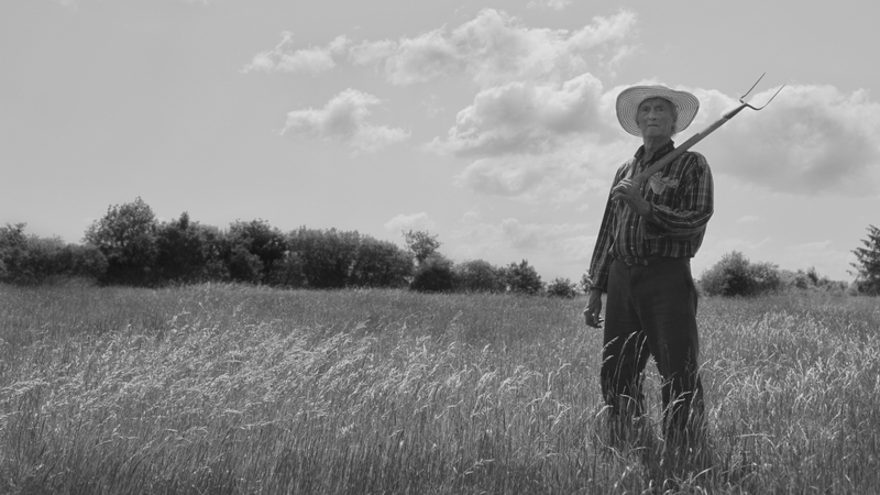 When All is Ruin Once Again: poignant admonitory note about the Earth and its ecology