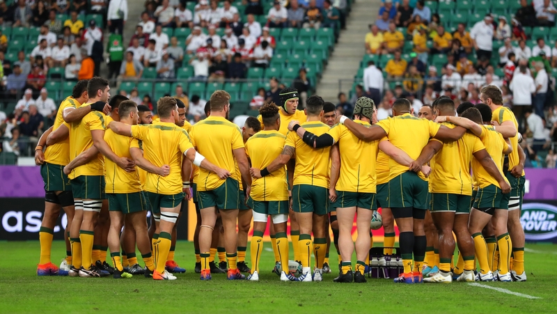 'Australia's professional players will play a central role in the short–term preservation of the game'