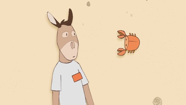 The Best Of Irish Shorts: Watch the delightful Donkey