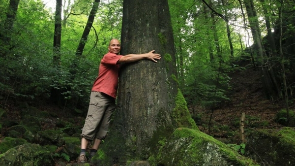 Go on, embrace nature