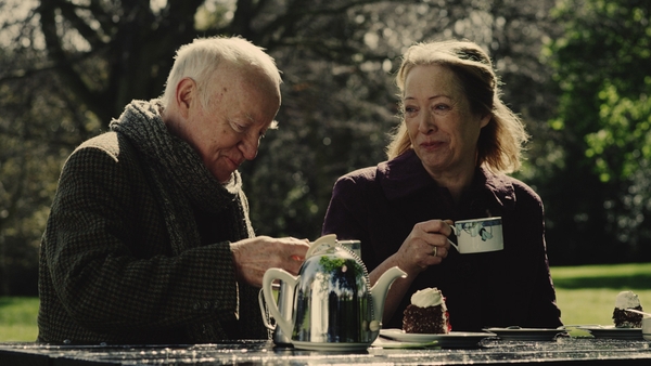 New Irish Shorts: Watch Homemade