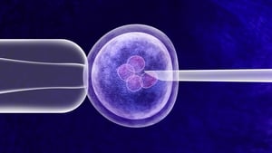 How to be An Adult: Egg freezing show image