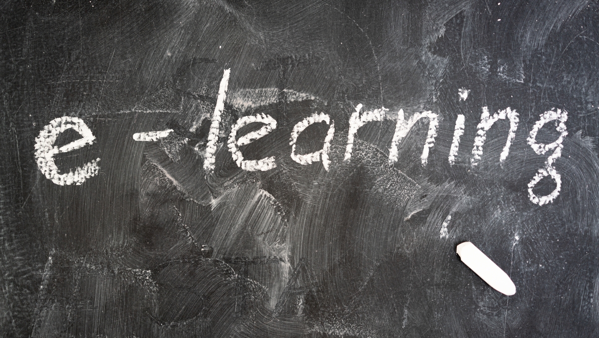 The phenomenon of online learning explored