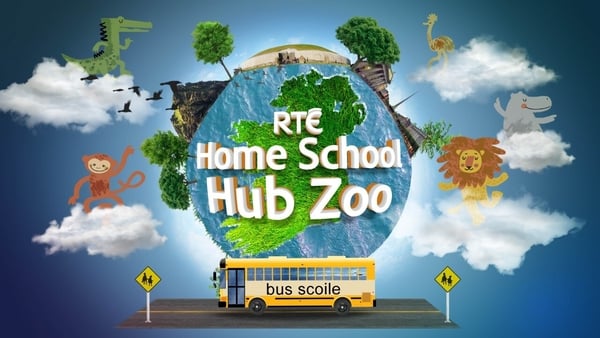 Hub Zoo