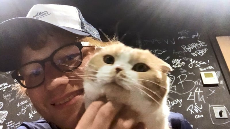 Ed Sheeran's the cat's whiskers