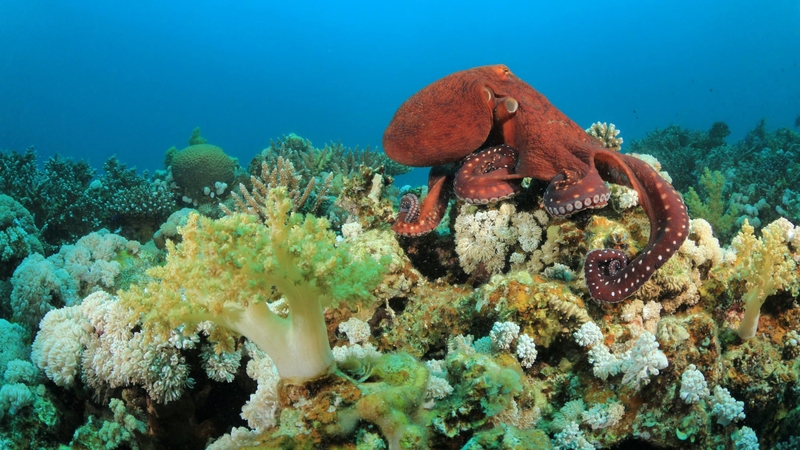 Because truth is often weirder than fiction.