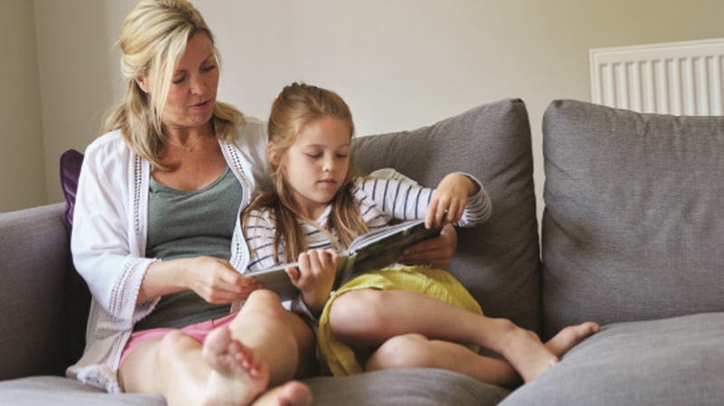 Energia boiler with heating controls