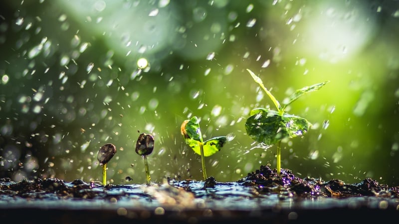 Smells like (microbial) team spirit