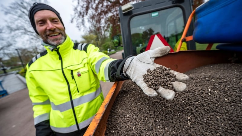 Authorities in Lund took the opportunity to spread one tonne of chicken droppings in the city's main park to deter gatherings