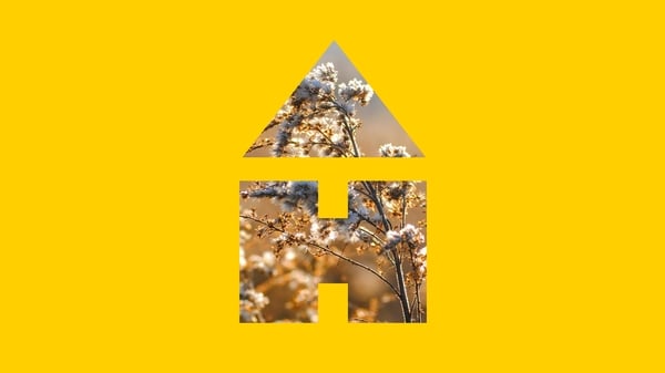 Rang 5 & Rang 6: Tíreolaíocht – Ithir agus Flóra