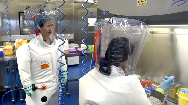 Researchers work in a lab at the Wuhan Institute of Virology