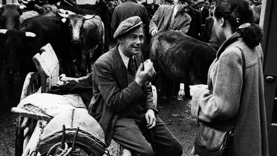 01 Jan 1950
Livestock for Sale at Puck Fair
Getty Images