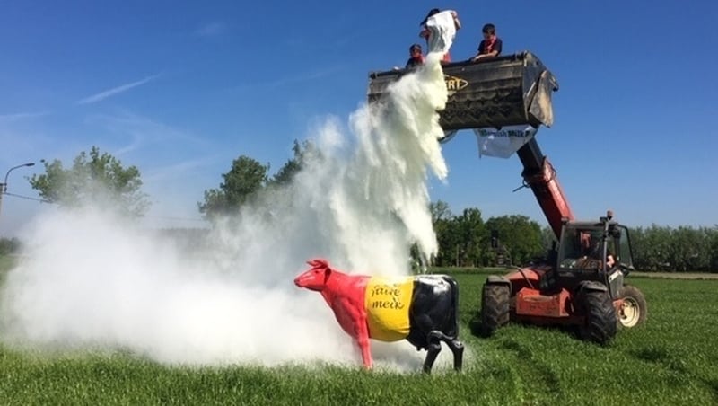A milk producer throws flour on a cow painted with the colours of the Belgian flag, during a protest action in Laarne against a strict lockdown to stop the spread of Covid-19