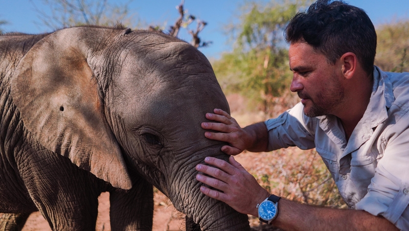 Walking with Elephants