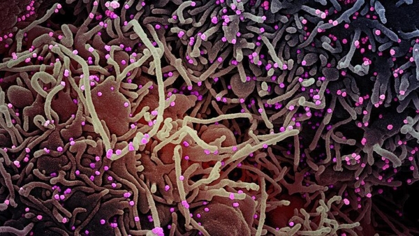 Was coronavirus spreading in Europe last year?