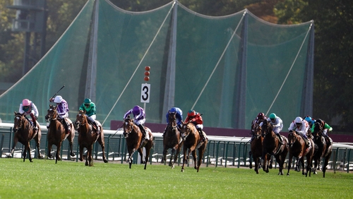 Feed The Flame is a best-price 14-1 for the Arc of course and distance