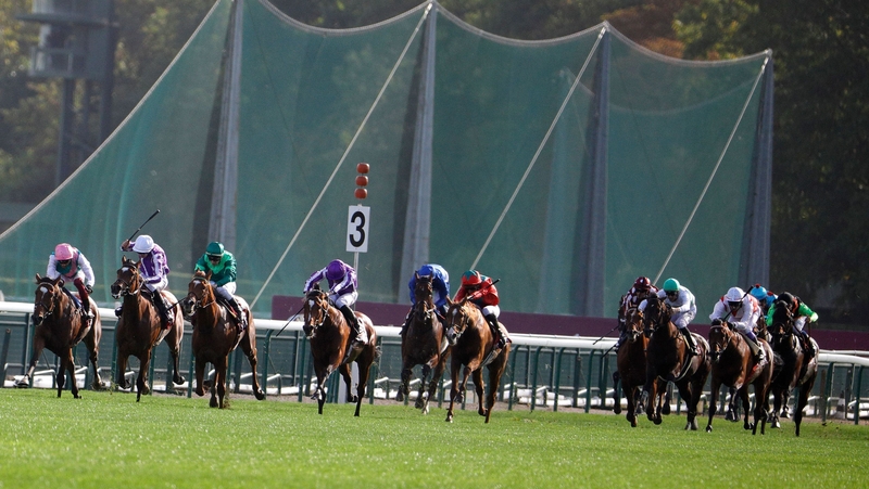 Pao Alto won well at ParisLongchamp