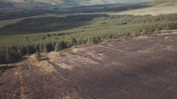 Watch: Drone footage shows damage from gorse fire