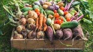 Brian McDermott's Roasted Irish Root Vegetable Recipes show image