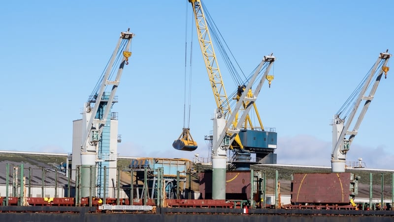 All regulatory animal-based food checks have been suspended at Belfast and Larne ports amid safety concerns