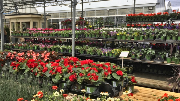 The guidelines, which are now available on the HSA website, highlight the main hazards for horticultural workers