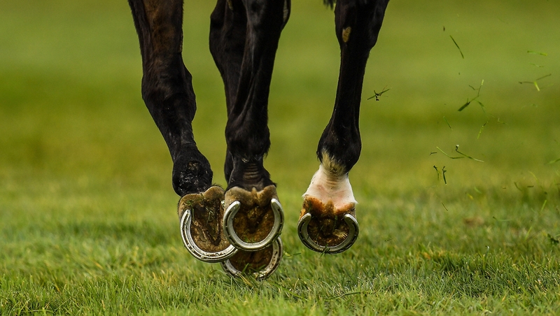 Racing in Ireland resumes on 8 June