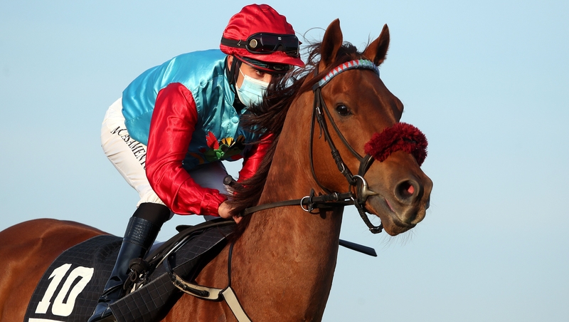 A jockey wearing a face mask in Germany