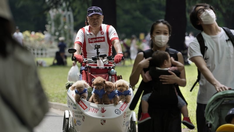Locals enjoying the sunshine at Yoyogi Park in Tokyo, Japan