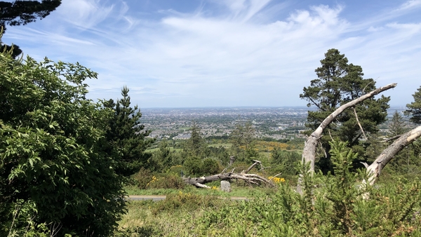 Coillte chairperson Bernie Gray said the semi-state forestry company aims to create 100,000 hectares of new forests by 2050
