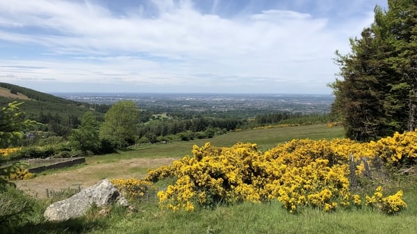 A €3m fund to develop and upgrade amenities at Coillte Forest Parks around Ireland was also announced (File image)