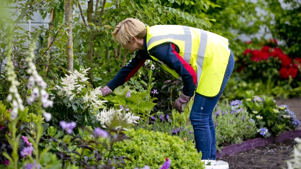 Valerie Murray one of the designers of The Children's Hospital Garden Photo Chris Bellew /Fennell Photography Copyright 2017