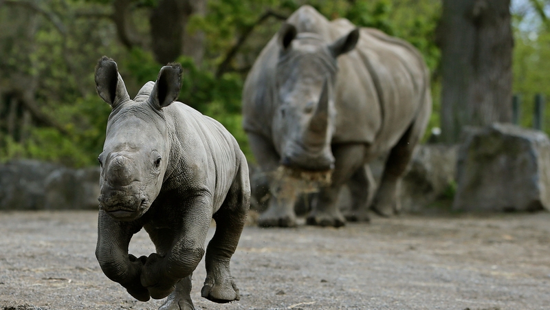 A one-way system will be in place with social distancing restrictions