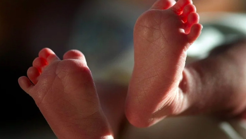 In 2018, 45% of fathers entitled to paternity benefit did not avail of it.