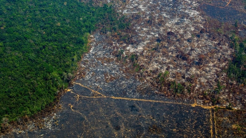 An aerial view of deforestation in Nascentes da Serra do Cachimbo Biological Reserve in Altamira, Para state, Brazil, in the Amazon basin