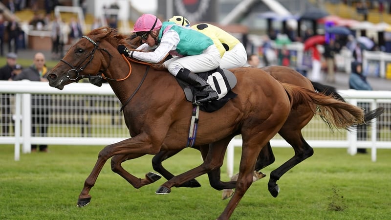 Quadrilateral had a smooth winter