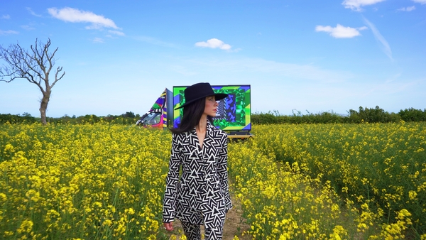 Transcending Time - Aoife Dunne brings art to your doorstep